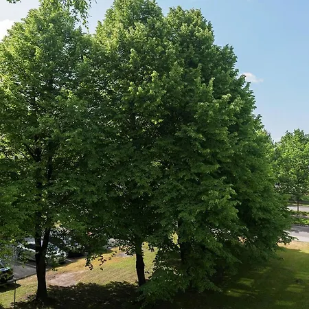 Tammsaare 36 - 600m, Free Parking *