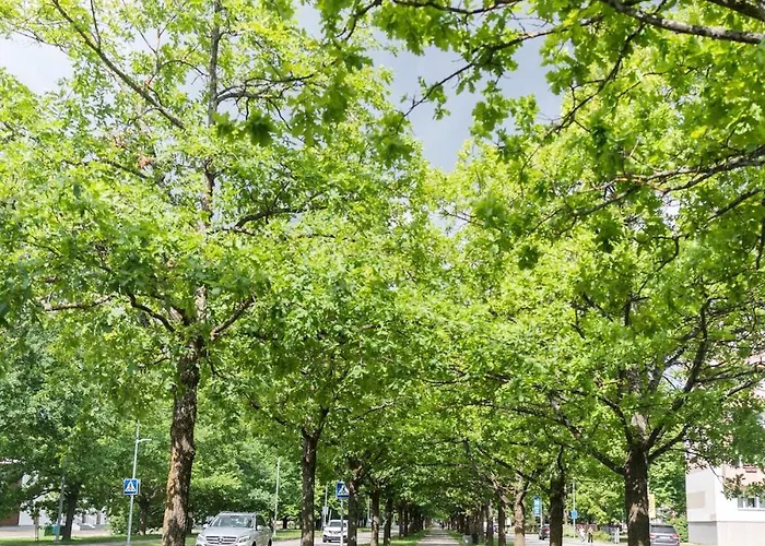 Tammsaare 36 - 600m, Free Parking Lejlighed